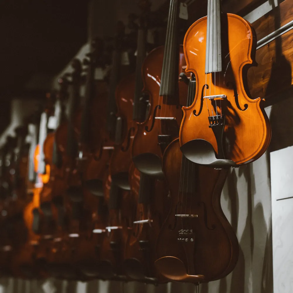 Violine za glasbeni team building program